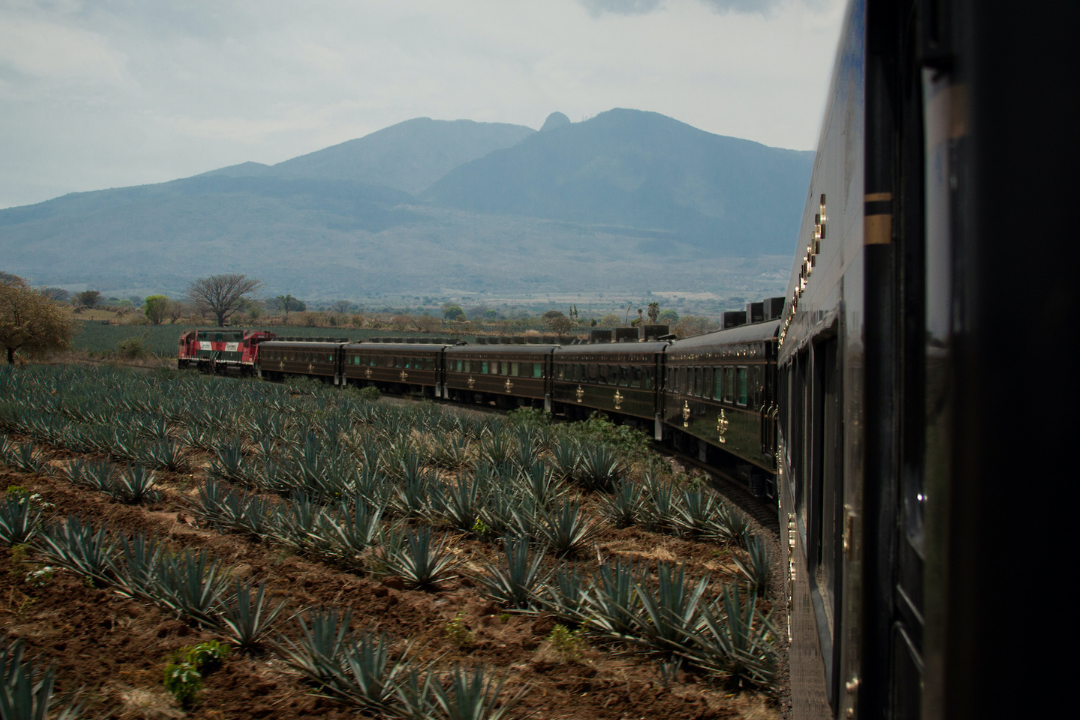 Read more about the article Tequila For Breakfast: The Ultimate Morning Itinerary For The Spirited Traveler In Mexico