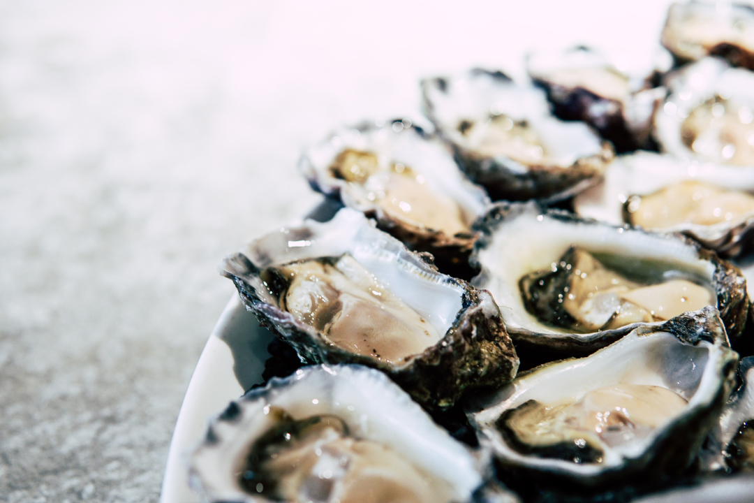 Read more about the article Aww Shucks: 8 Outstanding Oyster Bars In Los Angeles