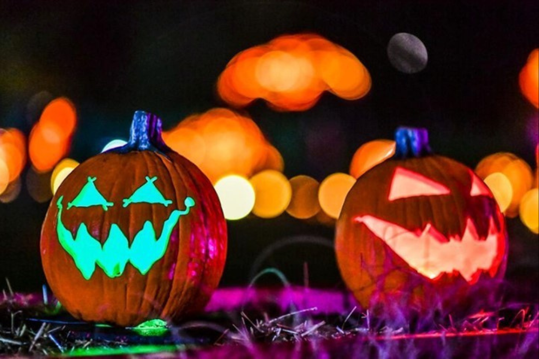 Read more about the article Magic Of The Jack-O’-Lanterns Makes L.A. Debut This Halloween