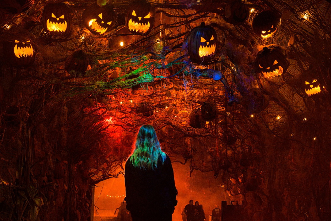 Read more about the article Fun & Frights In LA: Halloween Events Guide