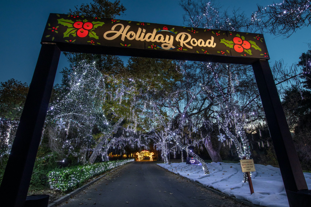 Read more about the article Get Lit: Holiday Road Returns To LA For Its Brightest Year Yet