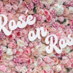 Venice’s ‘Rosé on Rose’ Wine Fest Returns on National Rosé Day