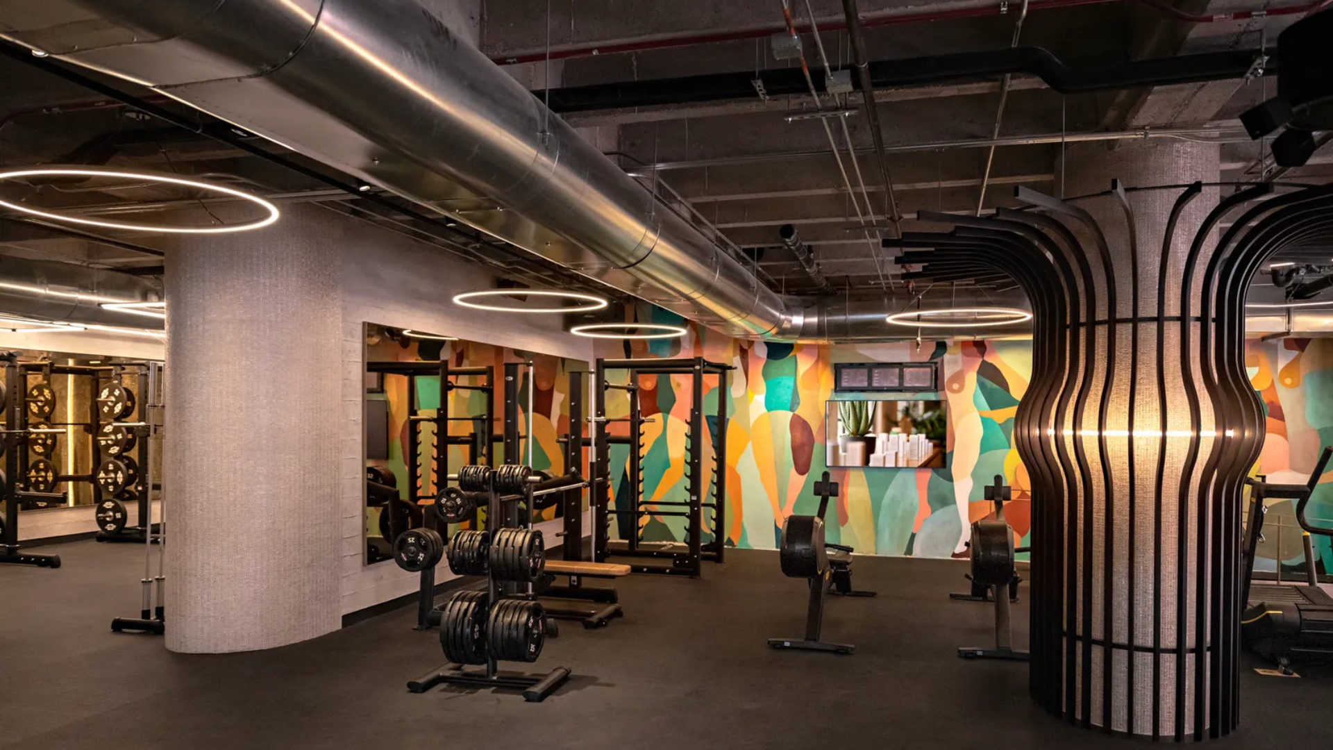 The Best Luxury Gyms in LA: Where Fitness Meets Exclusivity