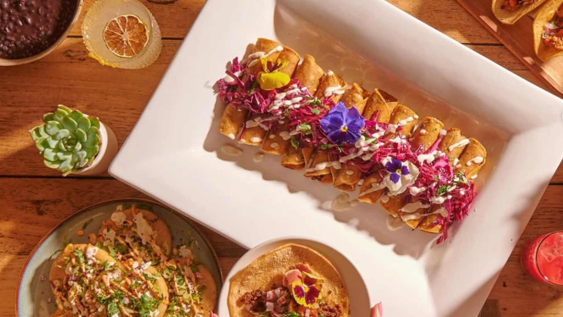 Read more about the article Plant-Based After Dark: Vegan Restaurants Defining West Hollywood Nights