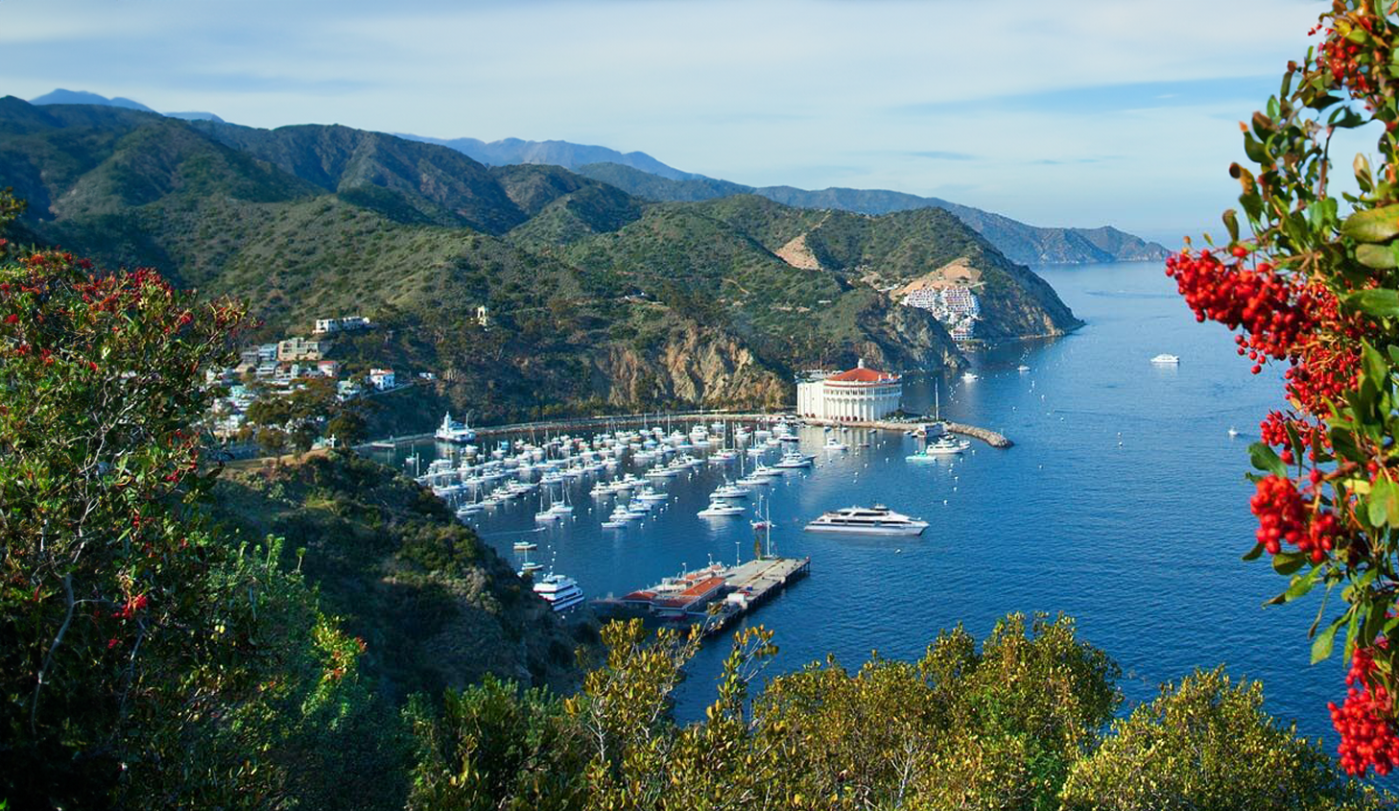 Read more about the article Party in Paradise: Catalina Island Itinerary From Sunset Sips to Nightclubs