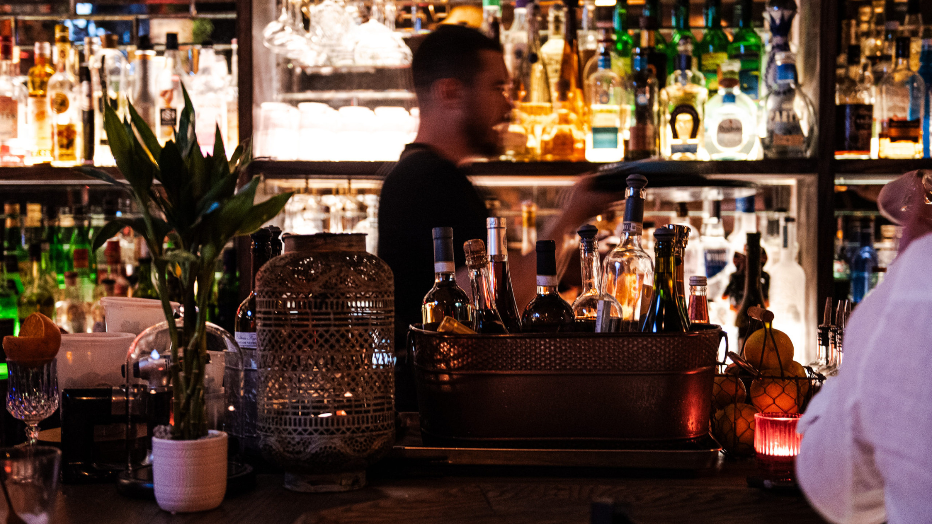 Read more about the article WarrenPeace Is the Tribeca Hideaway You’ll Want to Gatekeep