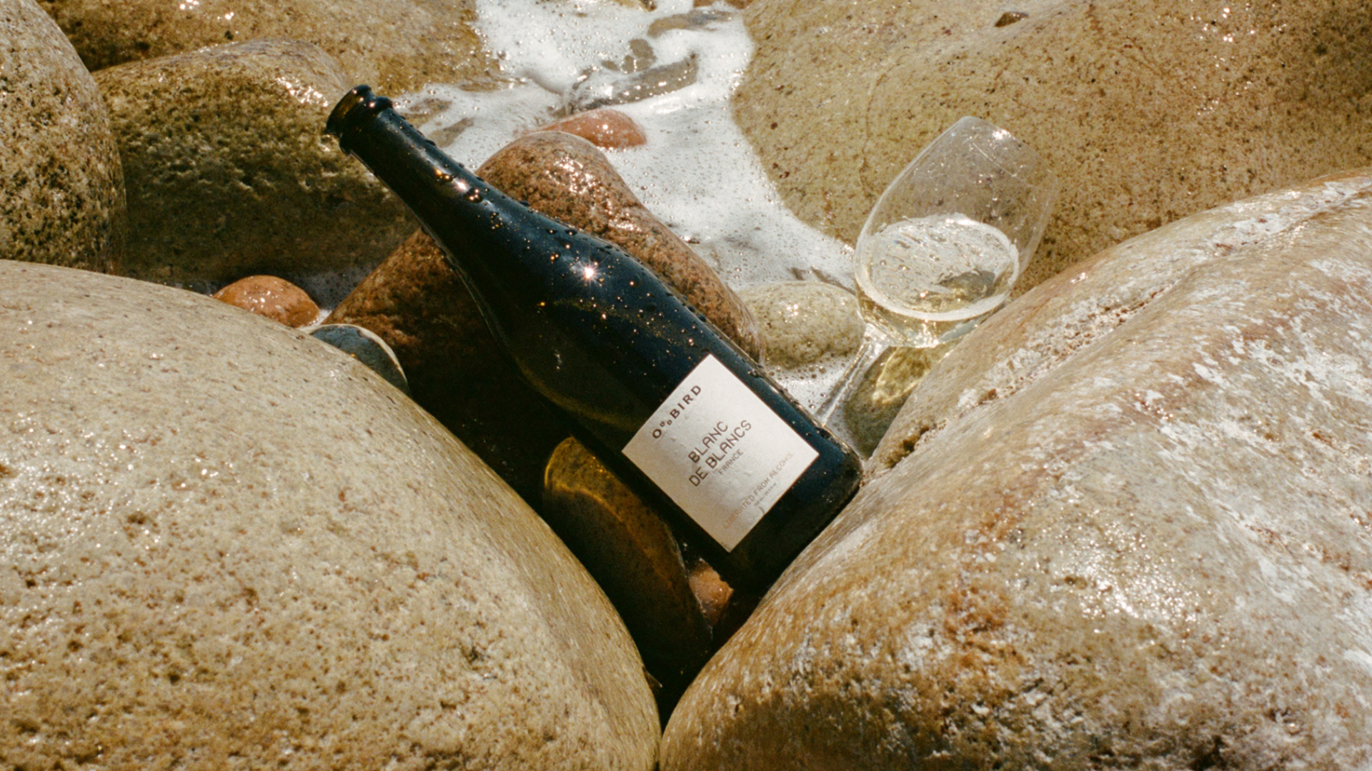 Read more about the article How Moa Gürbüzer,’s Oddbird, Makes Dealcoholized Wine Feel Luxurious and Intentional